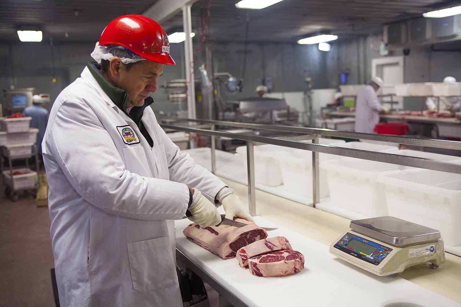 Meat Cutting Training At Zoe Mehaffey Blog